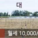 삼육세차장 이미지