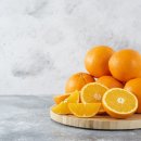 Dog.(독점) 이미지