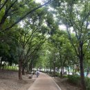 푸른길근린공원 이미지