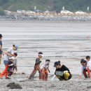 수림약품 이미지