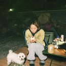 서리실힐링가족캠핑장 이미지
