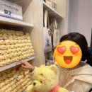 그랜드애비뉴 주식회사 | 디즈니스토어 총정리! | 디즈니 스토어, 판타지 애비뉴, 본보야지, 플래그십 스토어 차이 비교 | 디즈니...
