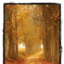 바이란트치과의원 이미지