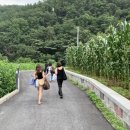 딱따구리펜션 이미지