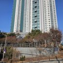 합정 빕스 vs 발산빕스 비교후기 합정역점 그리고 등촌점