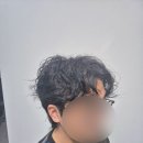 와이디헤어 - 104926 | 와이디헤어
