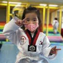 승룡태권도장 이미지