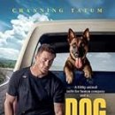 Refine dog 이미지