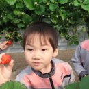 봉계초교병설유치원 이미지