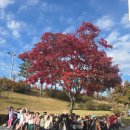 코리아 탑 태권도장 이미지