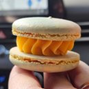 조가짬뽕 | 일상 | 2월 후반부터 3월 중순 일상 일기