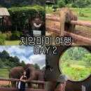 씨프로팜 | 태국여행 | 치앙마이 코끼리 카페 후기 (왕복택시비 및 꿀팁)