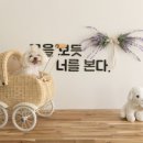 사랑길펜션 이미지