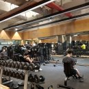 몬스터짐 광화문본점 이미지