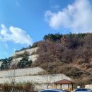 점동농협주유소 이미지