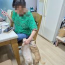 하단오거리 동물의료센터 이미지