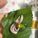 24시생각날때