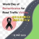 11월19일 세계 도로교통사고 희생자 추모의 날 이미지