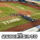 알파시티1로 40길 | 대구 삼성라이온즈파크 주차 꿀팁 직접 다녀온 후기