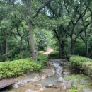 선정공원