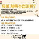 정도태권스쿨 네이버블로그