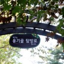 합천가을골 이미지