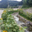 봉대마을 이미지