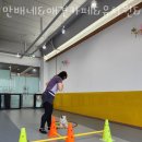 만배네 애견카페 이미지