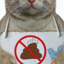 박순석동물메디컬센터 이미지