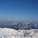 매봉산2 이미지