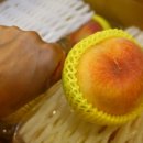 황도축산 이미지