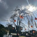 덕바위마을 | 가을 나들이 추천 - 🍂 논산 덕바위마을 할로윈 팜크닉 후기”