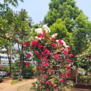 롯데쇼핑(주) 롯데마트 화명점 이미지