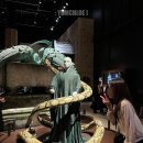 해리안호텔 | 도쿄 해리포터 스튜디오 워너 브라더스 투어 예약 가는법 굿즈 리얼후기