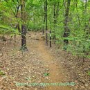 이정경로당 이미지