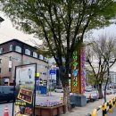 꼬마뚱김밥 이미지