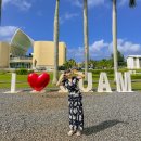 시민전자 | 사이판 괌 eta 신청 전자세관신고서 작성방법 입국심사 후기