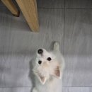홍제수산