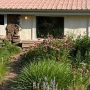 어 타이니 리틀피스 이미지