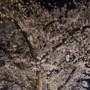 (주)더존환경 - 1032 | 계룡산 동학사펜션 더존펜션 깔끔하고 프라이빗한 테라스가 매력적이에요