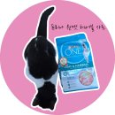 원(one)헤어 | [14살 노령묘 땅콩이가 좋아하는 사료]퓨리나 원 캣 헤어볼관리 후기 🐾