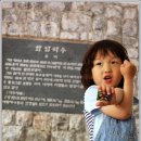 가리왕산 휴양림 이미지