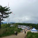 &#39;감악산 꽃&amp;별 여행&#39;보라빛 아스타국화축제 이미지