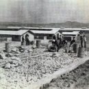 동부선린 이미지