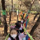 창의의 숲 이미지