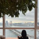 시청뒷고기(부산시티호텔앞) | 부산 파크 하얏트 오션뷰룸 고층 후기, 부산 광안리뷰 호텔 추천, 부산 오션뷰 호텔,부산 호캉스 추천