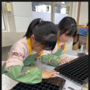 심기보농장 이미지