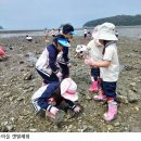 여수갯벌노을마을농촌체험휴양마을