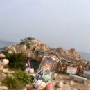 진트래블 이미지