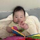 세탁친구 | 국민 오감놀이 책 “내친구 코야” 실 사용후기🐘(세탁법+장단점)